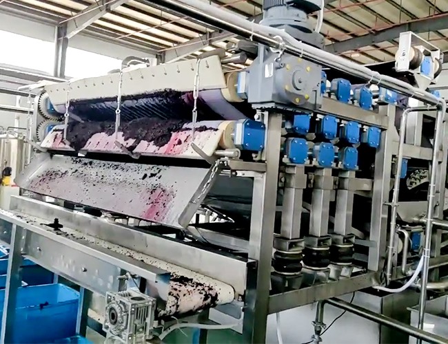 带式压榨机客户桑葚榨汁使用现场