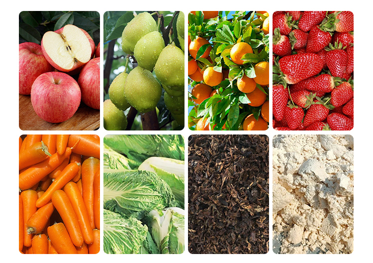 带式水果压榨生产线 带式水果压榨生产线