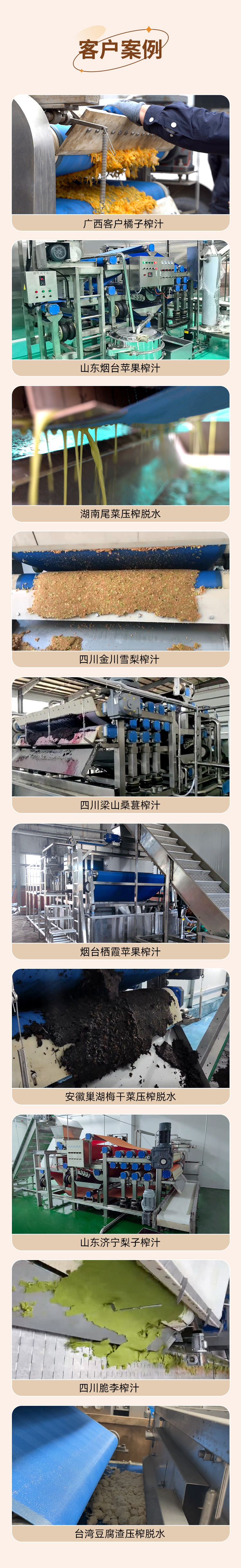 带式榨汁机